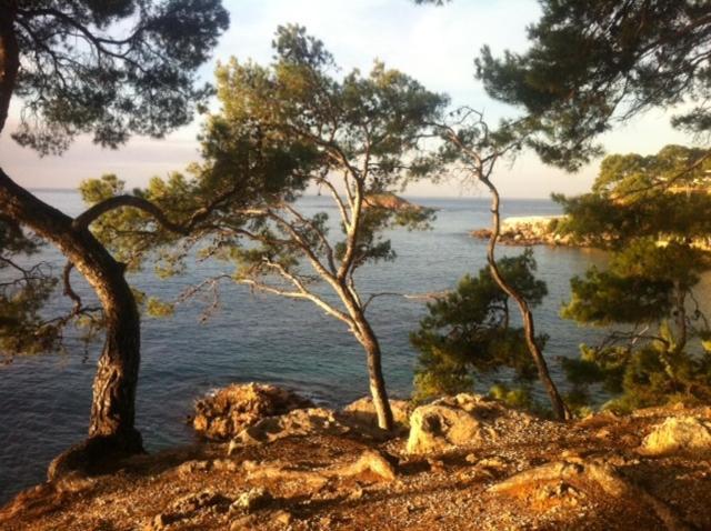 Le Hameau de la Crique de l'Anglaise Bandol Extérieur photo
